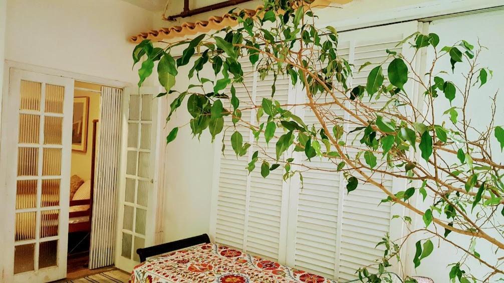 Casa Beludi *